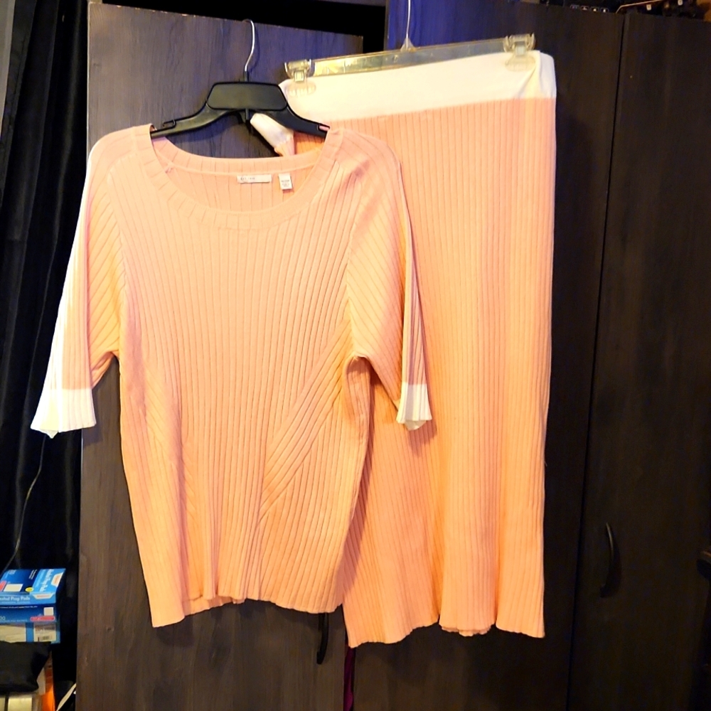 Skirt Set